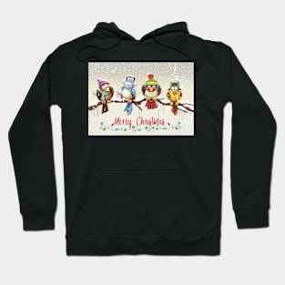 Chilly Birds! Hoodie